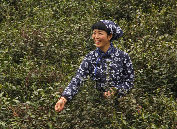成人视频 最新3